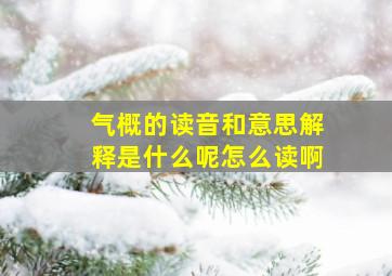 气概的读音和意思解释是什么呢怎么读啊