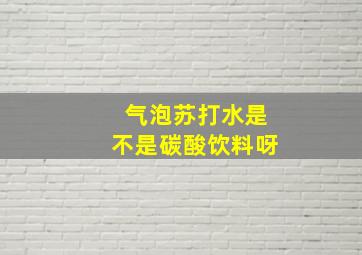 气泡苏打水是不是碳酸饮料呀