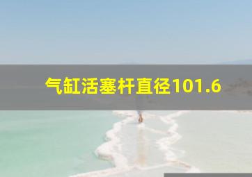 气缸活塞杆直径101.6