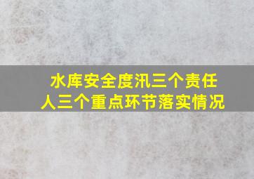 水库安全度汛三个责任人三个重点环节落实情况