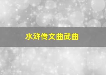 水浒传文曲武曲