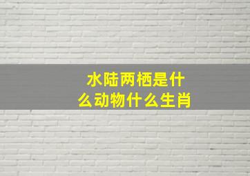 水陆两栖是什么动物什么生肖