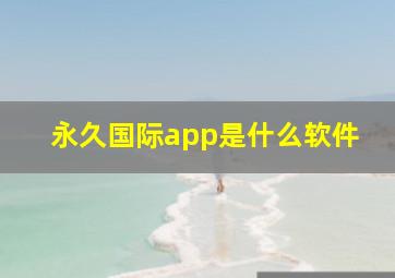 永久国际app是什么软件