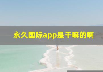 永久国际app是干嘛的啊