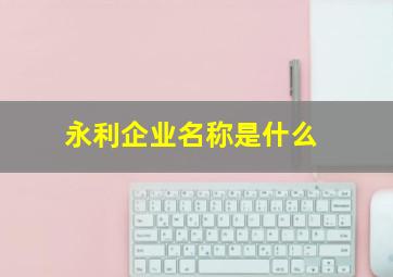 永利企业名称是什么