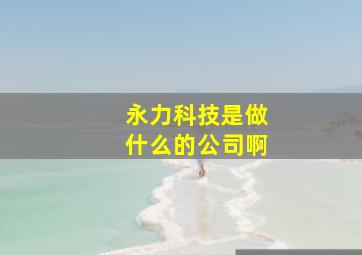 永力科技是做什么的公司啊