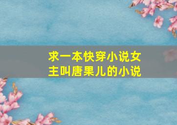 求一本快穿小说女主叫唐果儿的小说