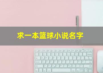 求一本篮球小说名字