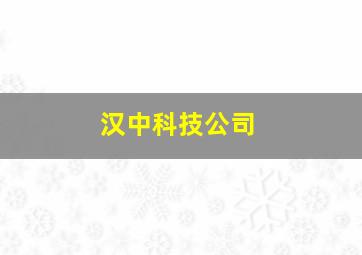 汉中科技公司