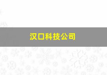 汉口科技公司