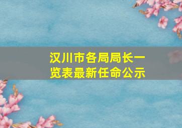 汉川市各局局长一览表最新任命公示