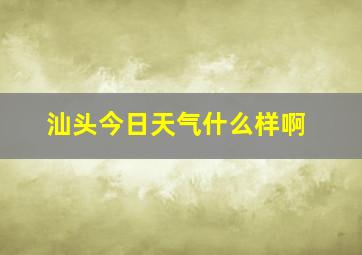 汕头今日天气什么样啊