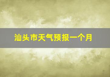 汕头市天气预报一个月