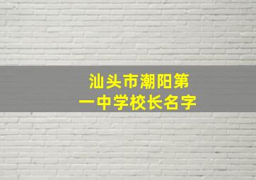 汕头市潮阳第一中学校长名字