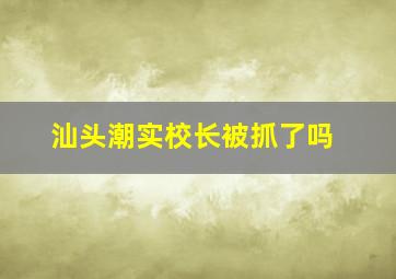 汕头潮实校长被抓了吗