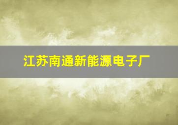 江苏南通新能源电子厂