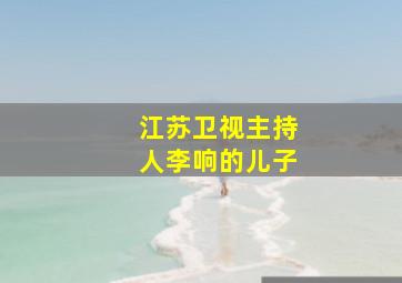 江苏卫视主持人李响的儿子