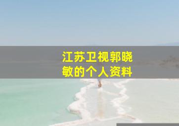 江苏卫视郭晓敏的个人资料