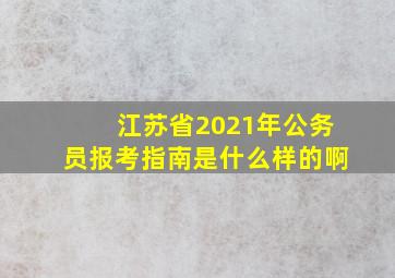 江苏省2021年公务员报考指南是什么样的啊