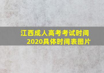 江西成人高考考试时间2020具体时间表图片