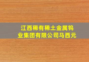 江西稀有稀土金属钨业集团有限公司马西元