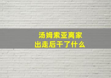 汤姆索亚离家出走后干了什么