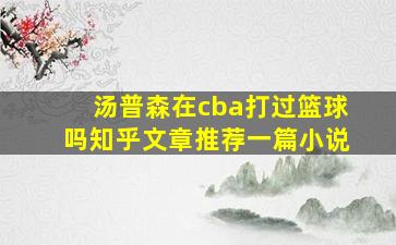 汤普森在cba打过篮球吗知乎文章推荐一篇小说