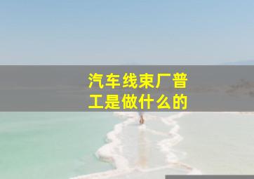 汽车线束厂普工是做什么的