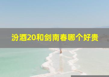 汾酒20和剑南春哪个好贵