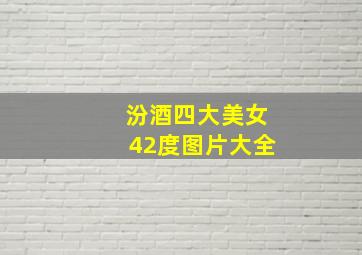 汾酒四大美女42度图片大全