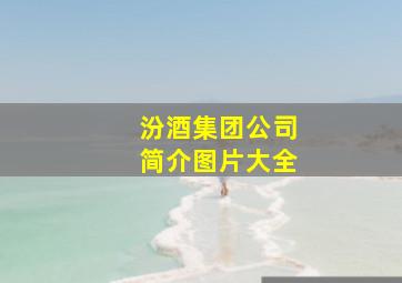 汾酒集团公司简介图片大全