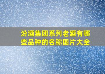 汾酒集团系列老酒有哪些品种的名称图片大全