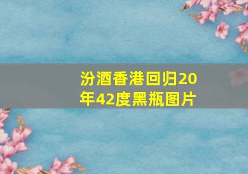 汾酒香港回归20年42度黑瓶图片