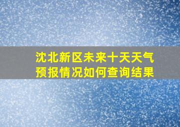 沈北新区未来十天天气预报情况如何查询结果