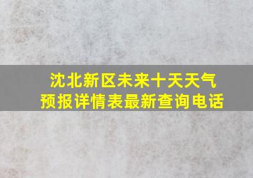 沈北新区未来十天天气预报详情表最新查询电话