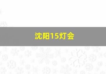 沈阳15灯会