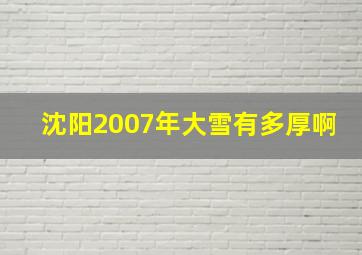 沈阳2007年大雪有多厚啊