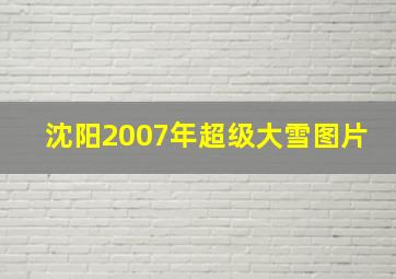 沈阳2007年超级大雪图片