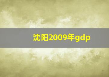 沈阳2009年gdp