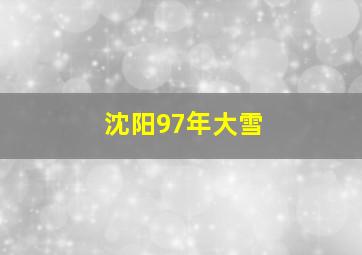 沈阳97年大雪