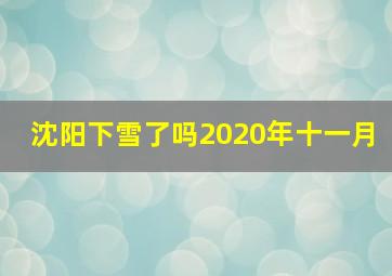 沈阳下雪了吗2020年十一月