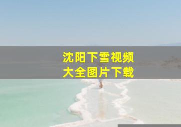 沈阳下雪视频大全图片下载