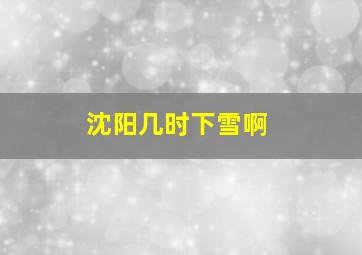 沈阳几时下雪啊