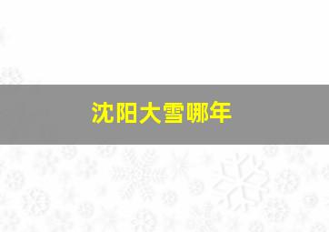 沈阳大雪哪年