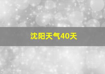 沈阳天气40天