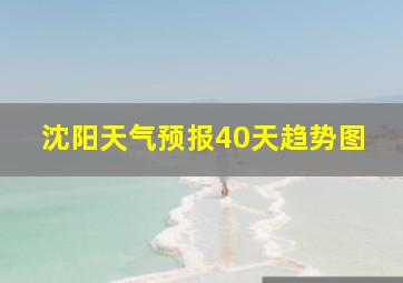 沈阳天气预报40天趋势图