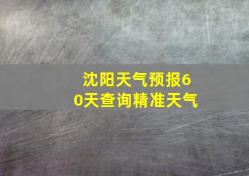 沈阳天气预报60天查询精准天气