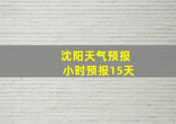 沈阳天气预报小时预报15天