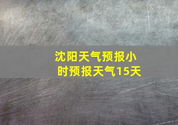 沈阳天气预报小时预报天气15天