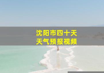 沈阳市四十天天气预报视频